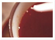 稳定不闪退的短信测压